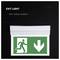 Wall- or ceiling-mounted exit light with a green emergency sign showing a running person and downward arrow; labeled 'EXIT LIGHT'.