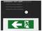 Emergency exit light bulkhead with green left-arrow and running man exit symbol; text lists wall-mounted, flush, and ceiling-mounted installation options.