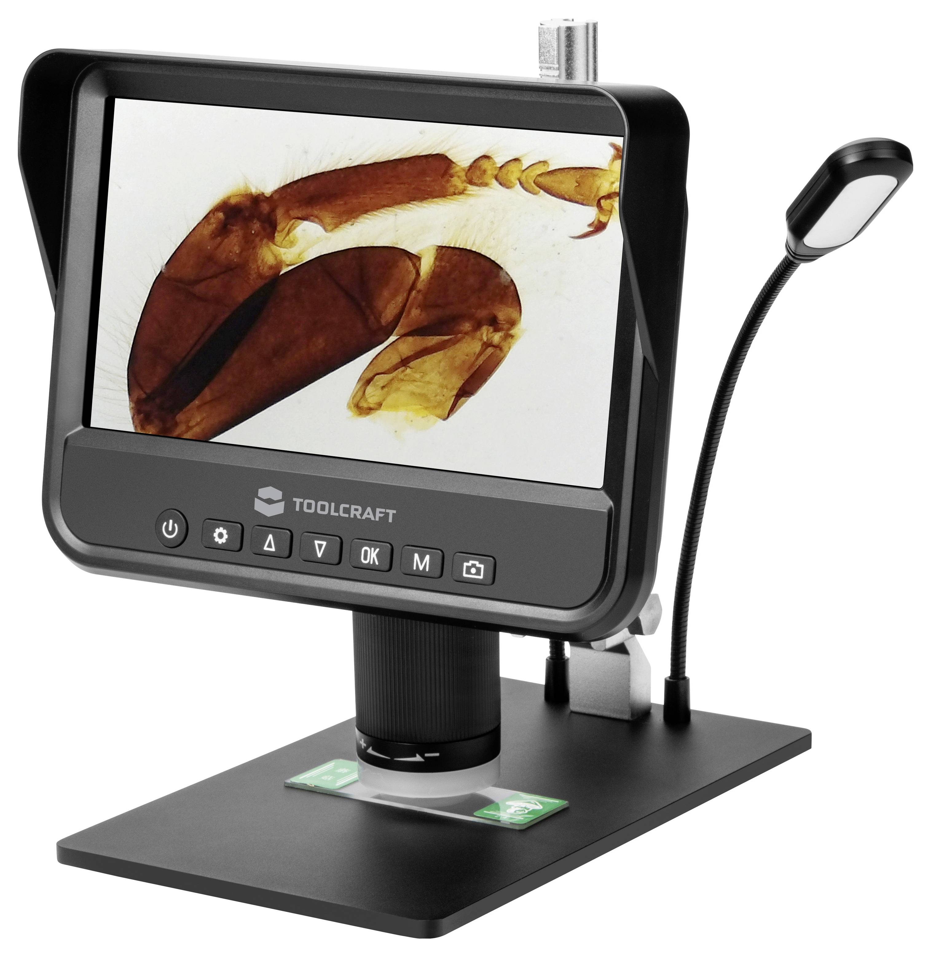 Digital microscope on a stand showing a magnified insect specimen on its screen, with flexible LED gooseneck light and base platform.