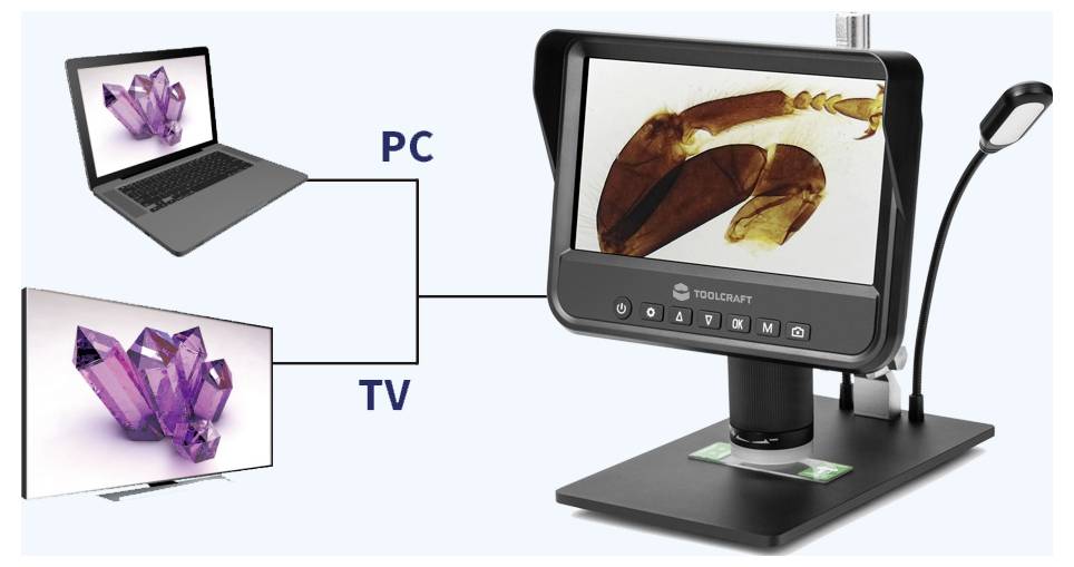 Digital microscope connected to PC and TV displays a specimen on its screen, showing synchronized viewing on both devices.