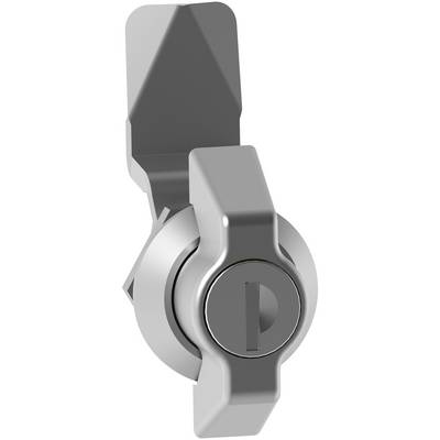 Close-up of a silver lock cylinder with an inserted key, shown in a secure locked position on a door or cabinet.