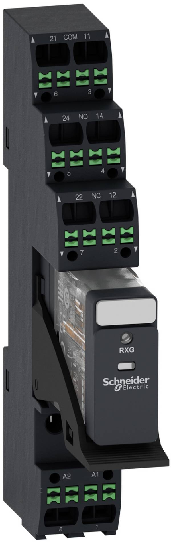 Interface relay Schneider Electric RXG23BDPVP 1 pc(s)