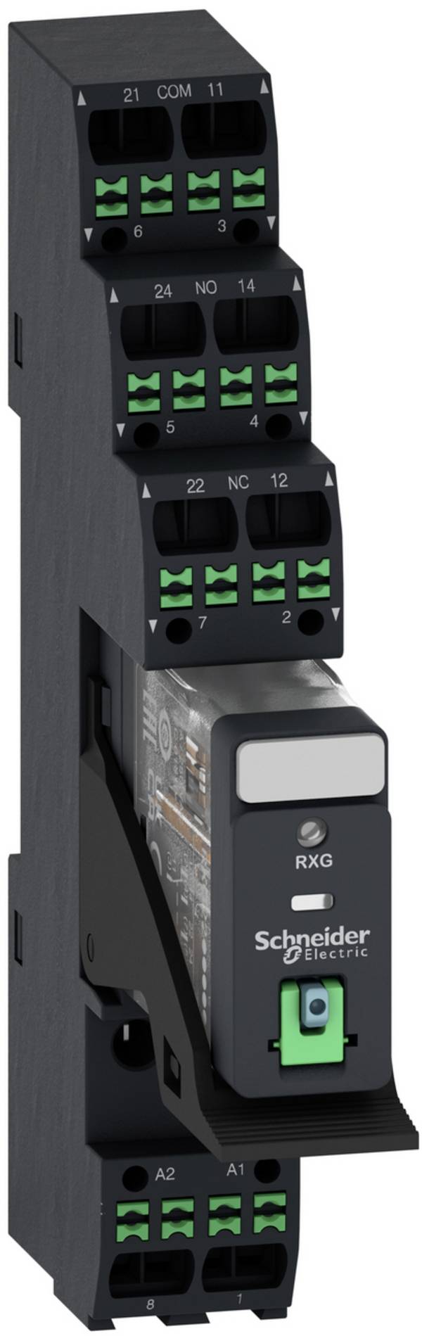 Interface relay  Schneider Electric RXG22BDPVP      1 pc(s)