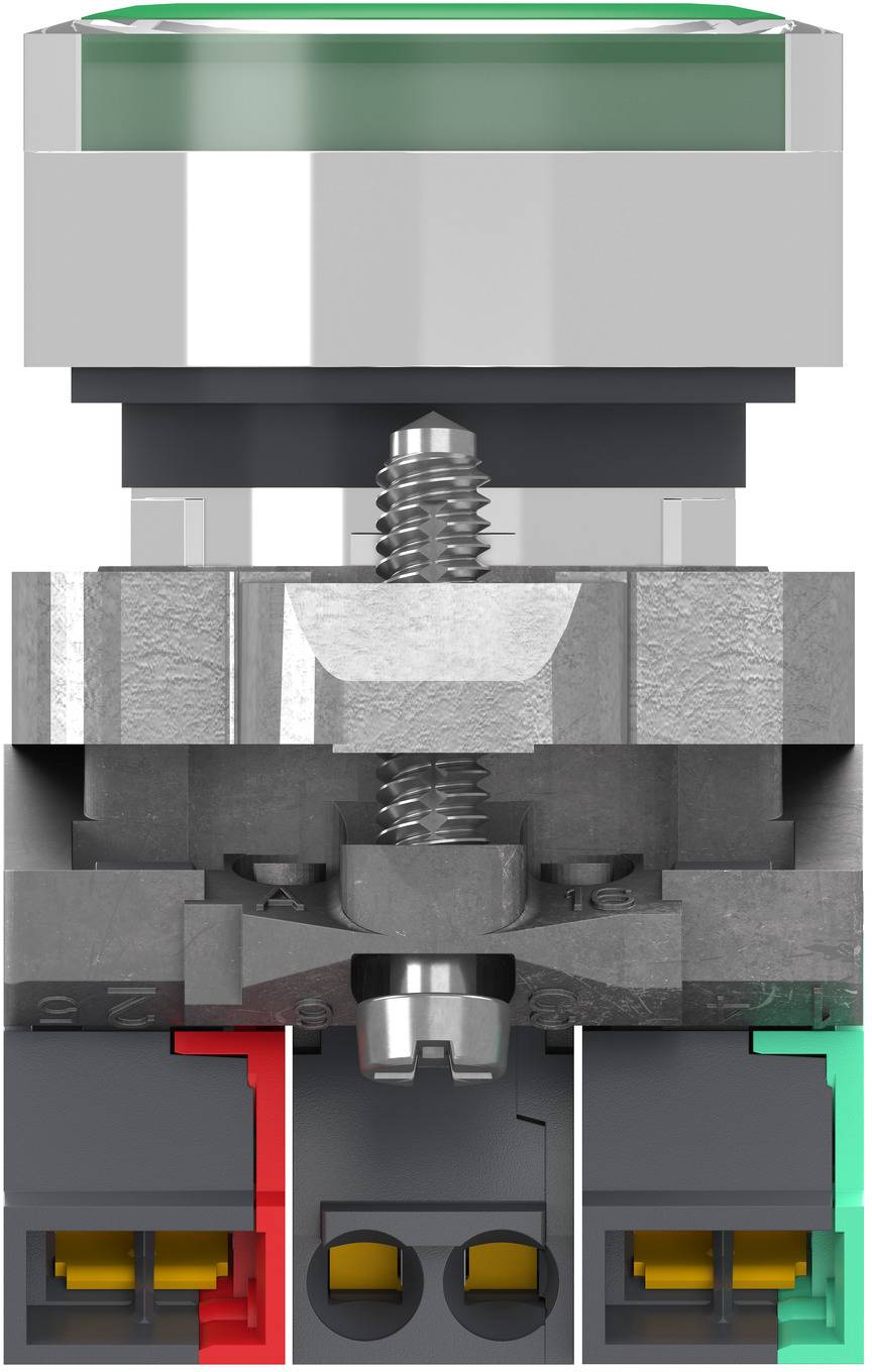 Cross-section of a mechanical connector assembly showing internal screw and terminal contacts, with red and green side sections indicating different connection areas.