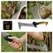 Collage showing a 23 cm pruning saw cutting branches and reeds, with close-ups of the serrated blade and ergonomic black-orange handle.