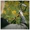 Person using a garden tool to cut yellow flowers in a leafy outdoor garden<br>