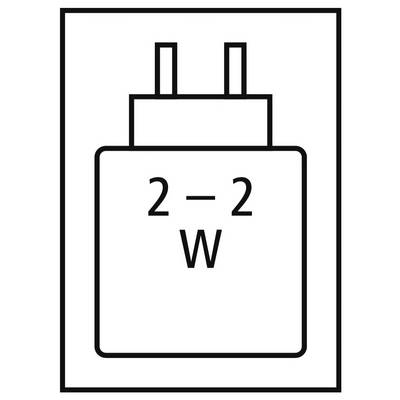 Black icon of a two-prong electrical plug labeled '2-2 W' inside a square border.