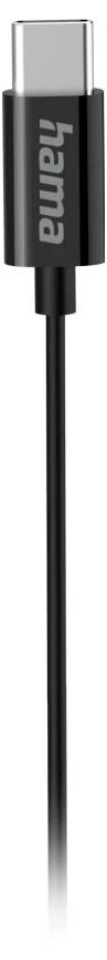 A black USB-C charging cable with a silver connector, labeled 'hama' on the plug.