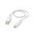 White USB-A to USB-C charging cable on a plain background, coiled with both connectors visible.<br>
