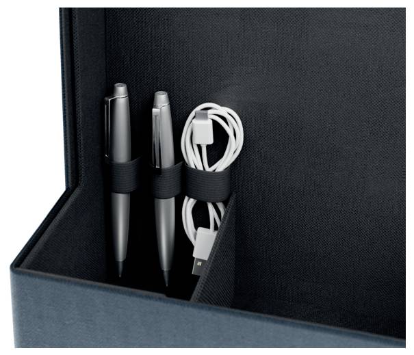 Open black case holding two silver pens and a coiled white charging cable in elastic loops.