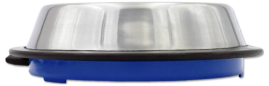 Stainless steel pet bowl with a blue non-slip base, shown in side view on a white background.