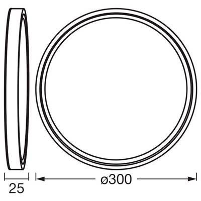 Technical drawing of a round disc, shown front and side views, with diameter labeled 'Ø300' and thickness labeled '25'.
