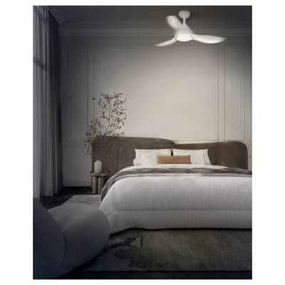 Modern bedroom with a large bed, white bedding, gray walls, a ceiling fan, and a small side table with decorative branches.