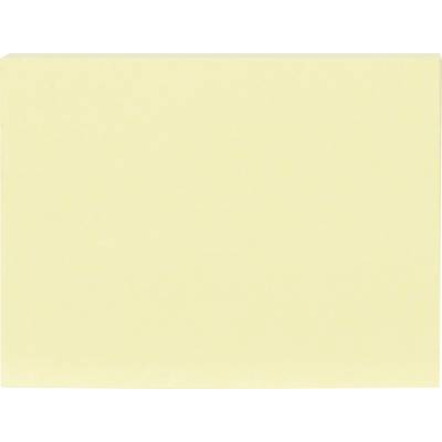 Blank pale yellow gradient background.