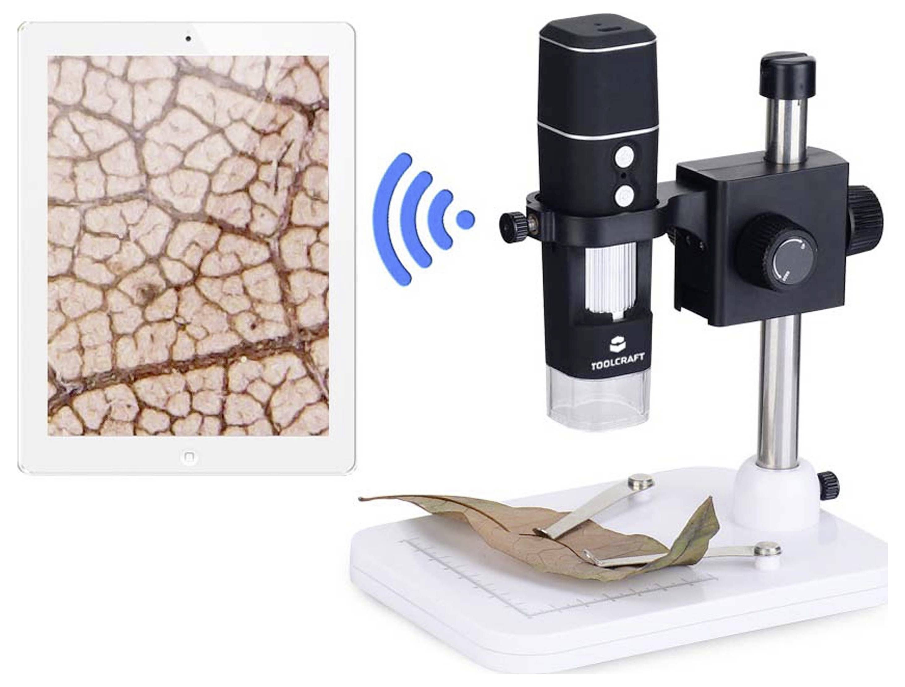 Tablet displays a magnified leaf texture while a wireless digital microscope on a stand examines a leaf sample on its base.