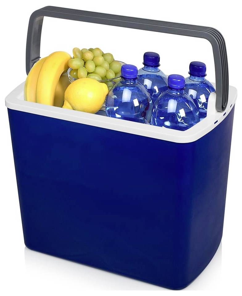 Blue insulated cooler with a black handle, filled with bottled water and fruit including bananas, grapes, and lemons.