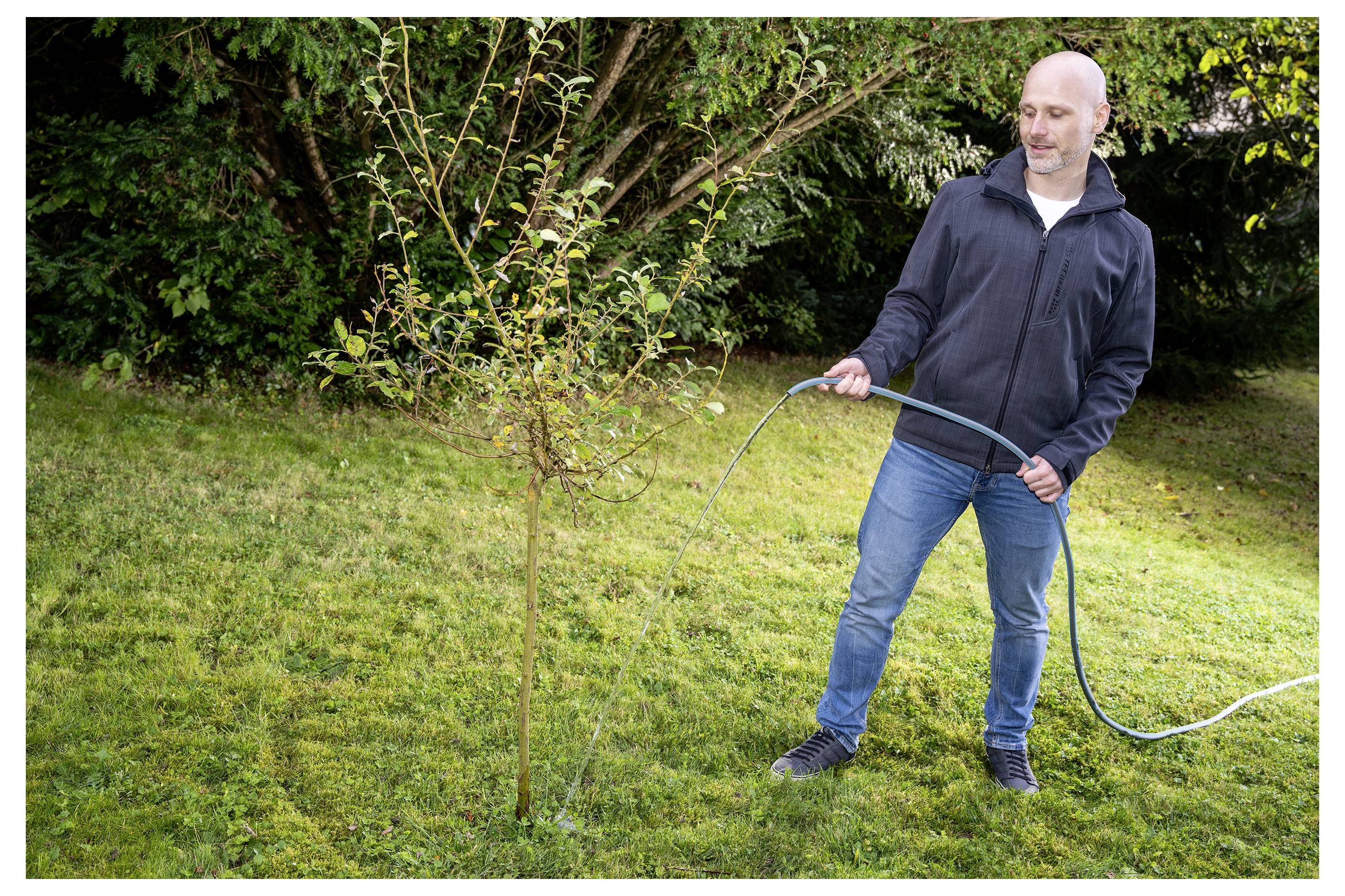 Man watering a young tree in a grassy yard with a garden hose.