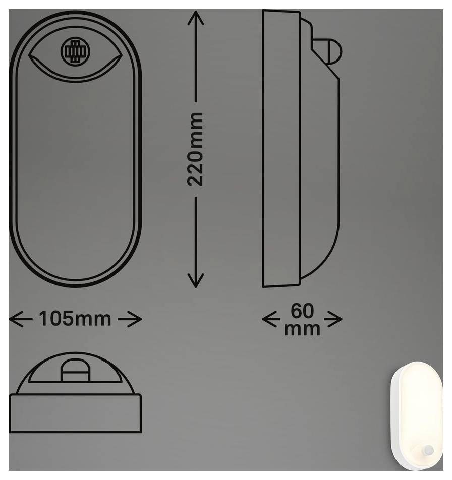 Dimension diagram of an oval wall light fixture showing approximate size: 220 mm tall, 105 mm wide, and 60 mm deep, with front, side, and bottom views.<br>