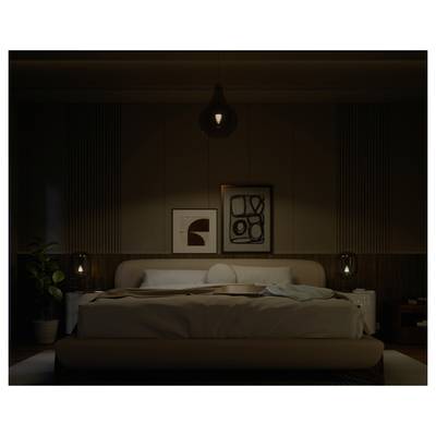 Dimly lit modern bedroom with a large bed, hanging pendant light, framed wall art, bedside lamps, and a plant, creating a calm atmosphere.