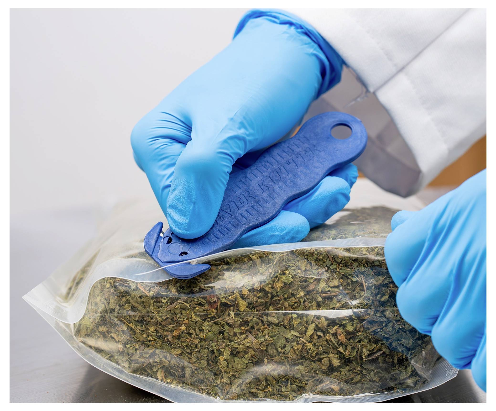 Gloved hands use a blue tool to cut open a sealed plastic bag containing dried plant material.