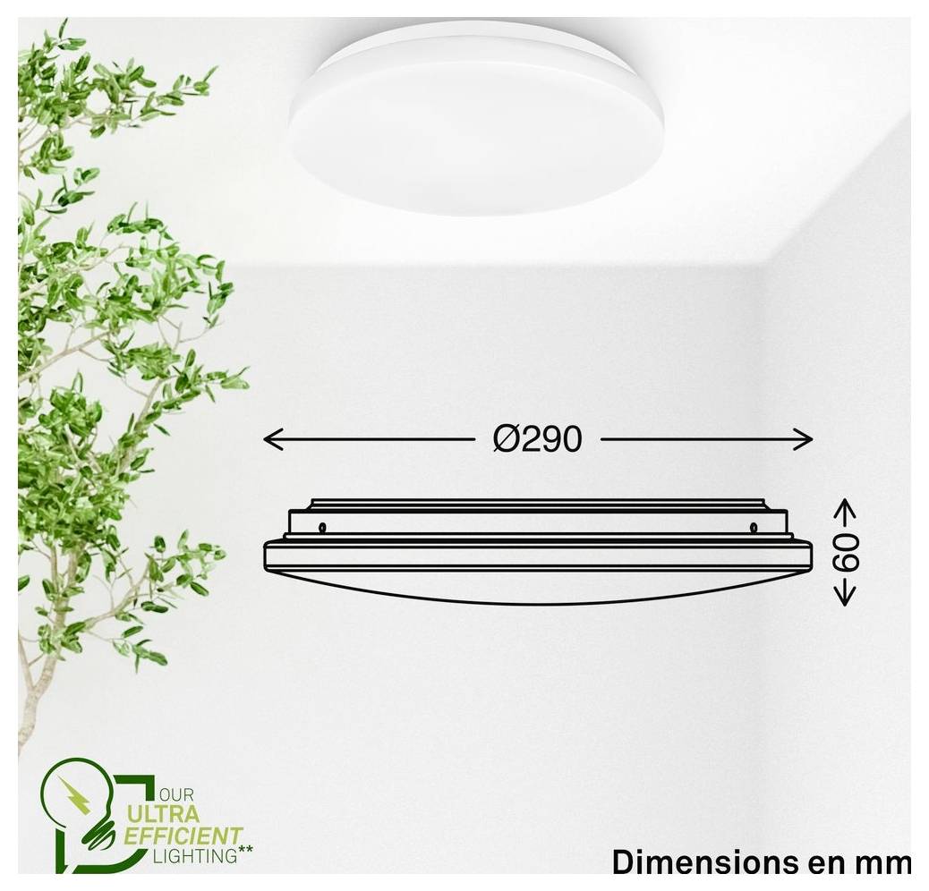 Diagram showing a round ceiling light fixture with dimensions in mm: diameter Ø290 and height 60.<br>