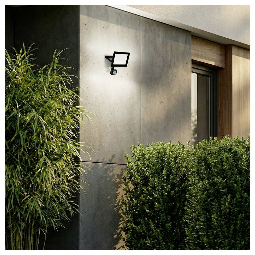 Exterior of a modern building wall with a security light, framed by tall bamboo and trimmed shrubs near a window.