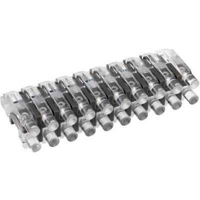 Close-up of a row of transparent RJ45 Ethernet cable connectors with gray boots, arranged diagonally on a white background.