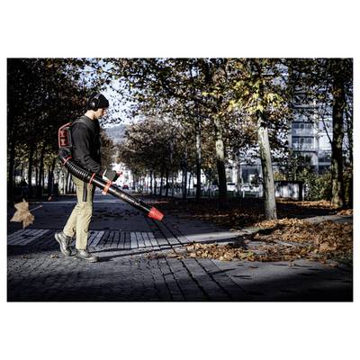 Worker using a backpack leaf blower to clear fallen leaves from a tree-lined sidewalk in autumn.
