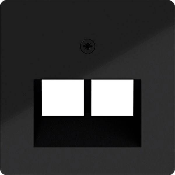Dark wall plate with two white rectangular rocker switches side by side and a screw above them.