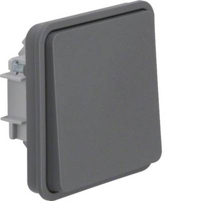 Gray rectangular wall switch or blank cover plate mounted on a white background.