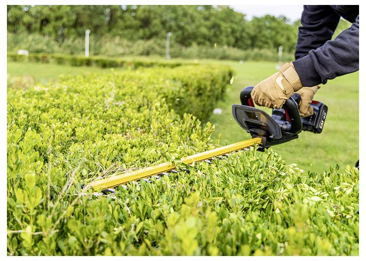 Person using a hedge trimmer to cut a neatly trimmed green hedge in a garden or park.