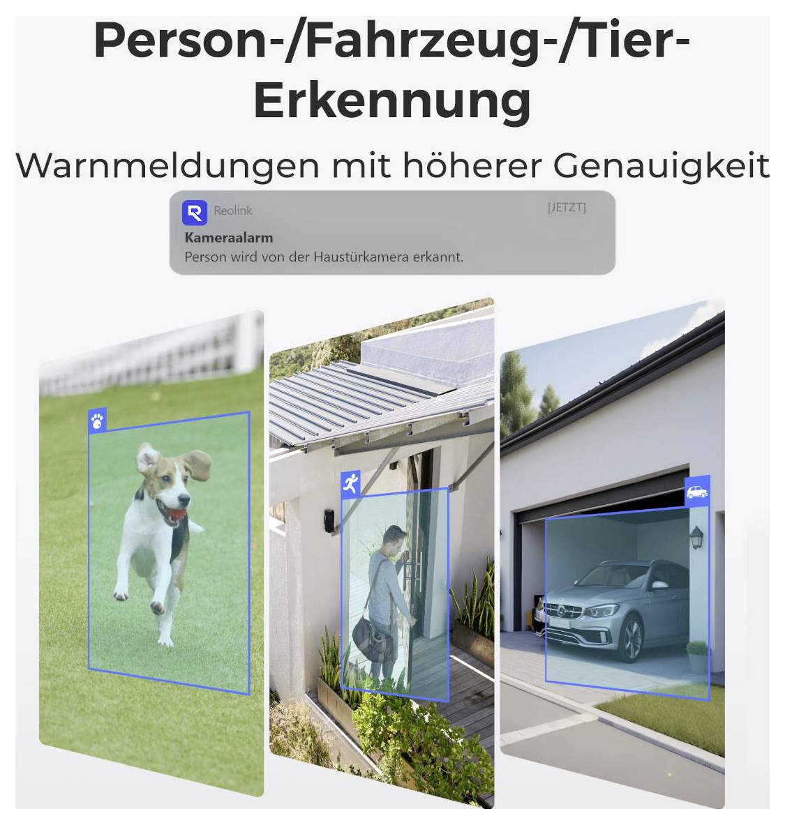 Advertising image for person/vehicle/animal recognition with higher accuracy; example notifications and three shots with marked dog, person and car.