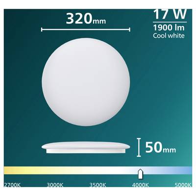 Product diagram of a white round light fixture, showing 320 mm diameter, 50 mm height, 17 W power, 1900 lm brightness, and cool white color range with 4000K highlighted.