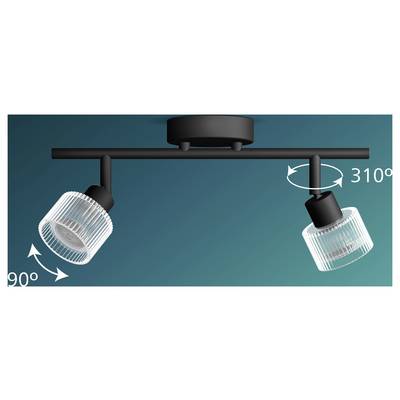 Two adjustable ceiling spotlights with arrows showing 90° tilt and 310° rotation on a teal background.