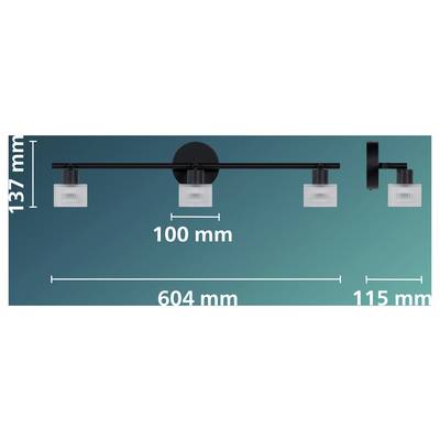 Diagram of a mounted light fixture showing dimensions: 137 mm height, 100 mm spacing, 604 mm total width, and 115 mm end section.
