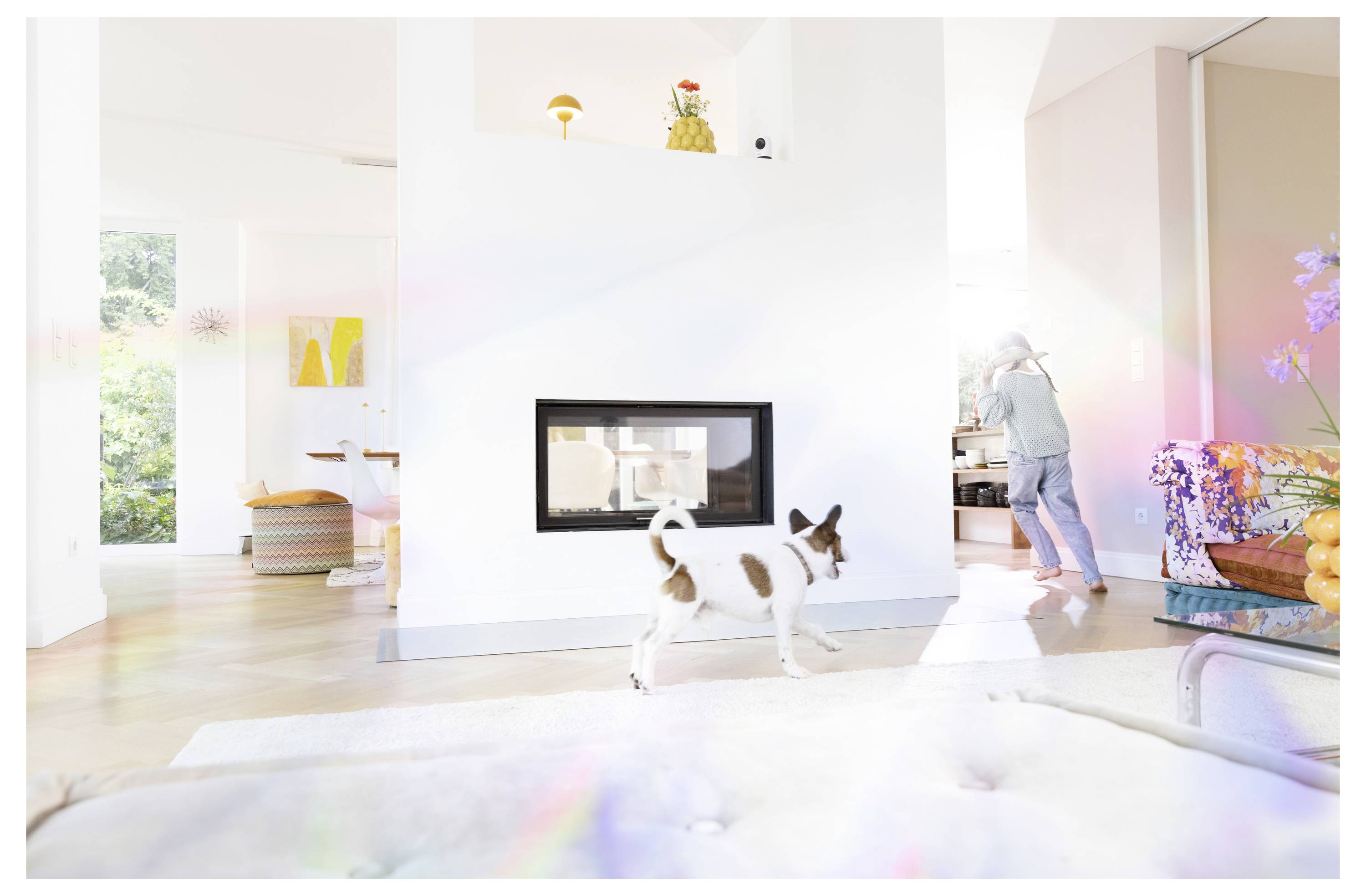 Bright modern living room with a small dog walking on the floor while a person tidies near a counter; sunlight fills the open space.
