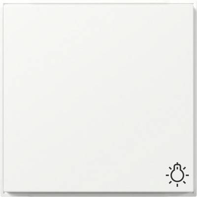 Blank white square icon with a small lightbulb and rays in the bottom-right corner, suggesting an idea or lighting control<br>
