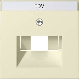 GIRA Main insert Creamy white 028401 1 pc(s)