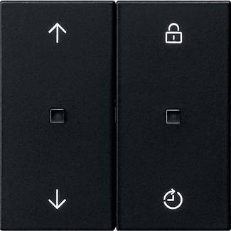 GIRA Wireless controller attachment Black 5492005 1 pc(s)