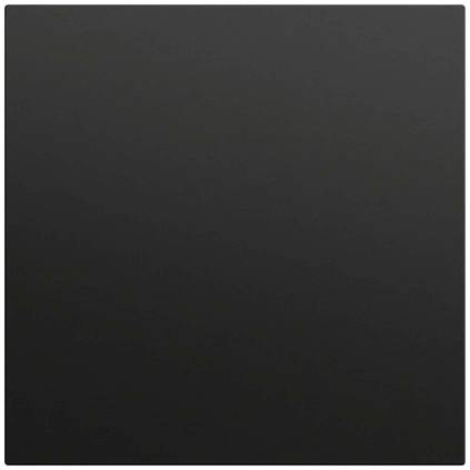 GIRA Blank Black 026874 1 pc(s)