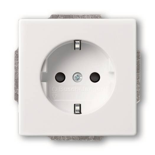 White electrical wall outlet with round socket and two prong holes, shown front-on on a gray mounting plate.