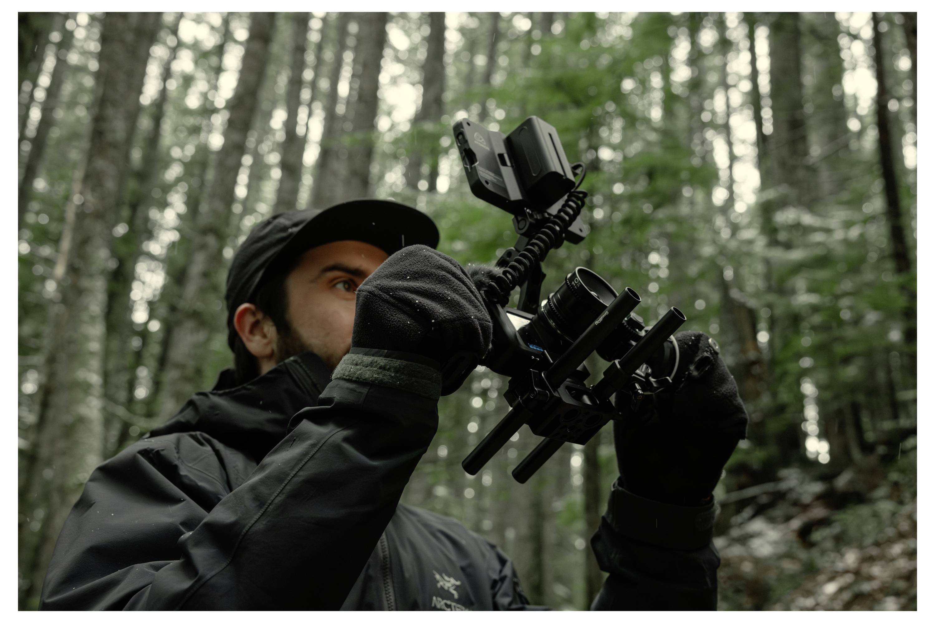 Person in a forest using a camera rig or binocular-style device, looking upward among tall trees.