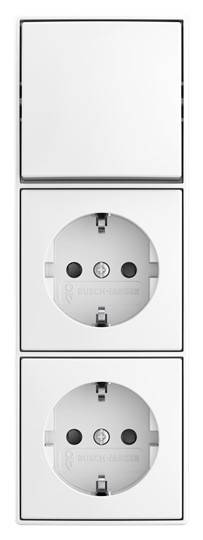 Busch-Jaeger Silver 2TKA00005544 1 pc(s)