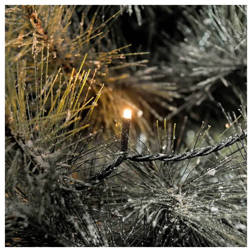 Close-up of a lit candle among dark pine branches, with one small flame glowing in a wreath-like arrangement.