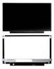 CoreParts MSC116H30-173M Display 1 pc(s)
