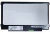 CoreParts MSC116H40-210G Display Black 1 pc(s)