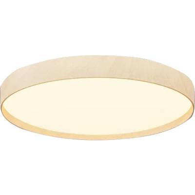 Oval beige ceiling light fixture seen from below