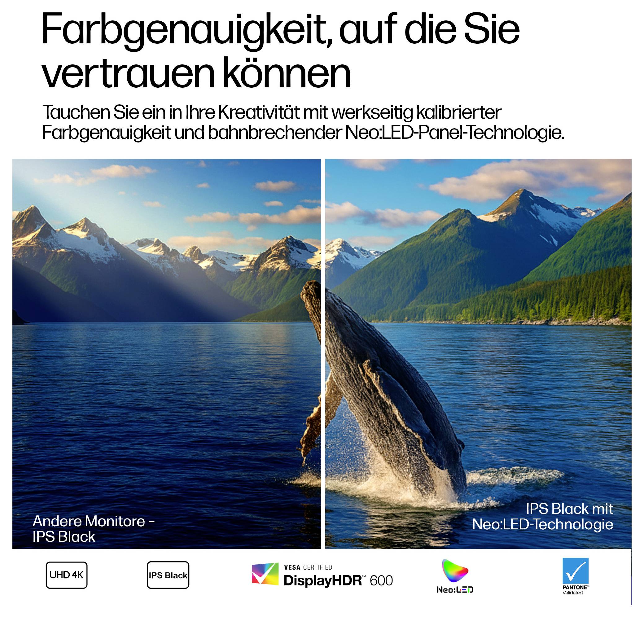 German ad comparing monitor color accuracy: split scenic lake image on left labeled 'Andere Monitore – IPS Black' and right labeled 'IPS Black mit NeoLED-Technologie,' with whale breaching; promotes 'Farbgenauigkeit' and 'NeoLED-Panel-Technologie'.
