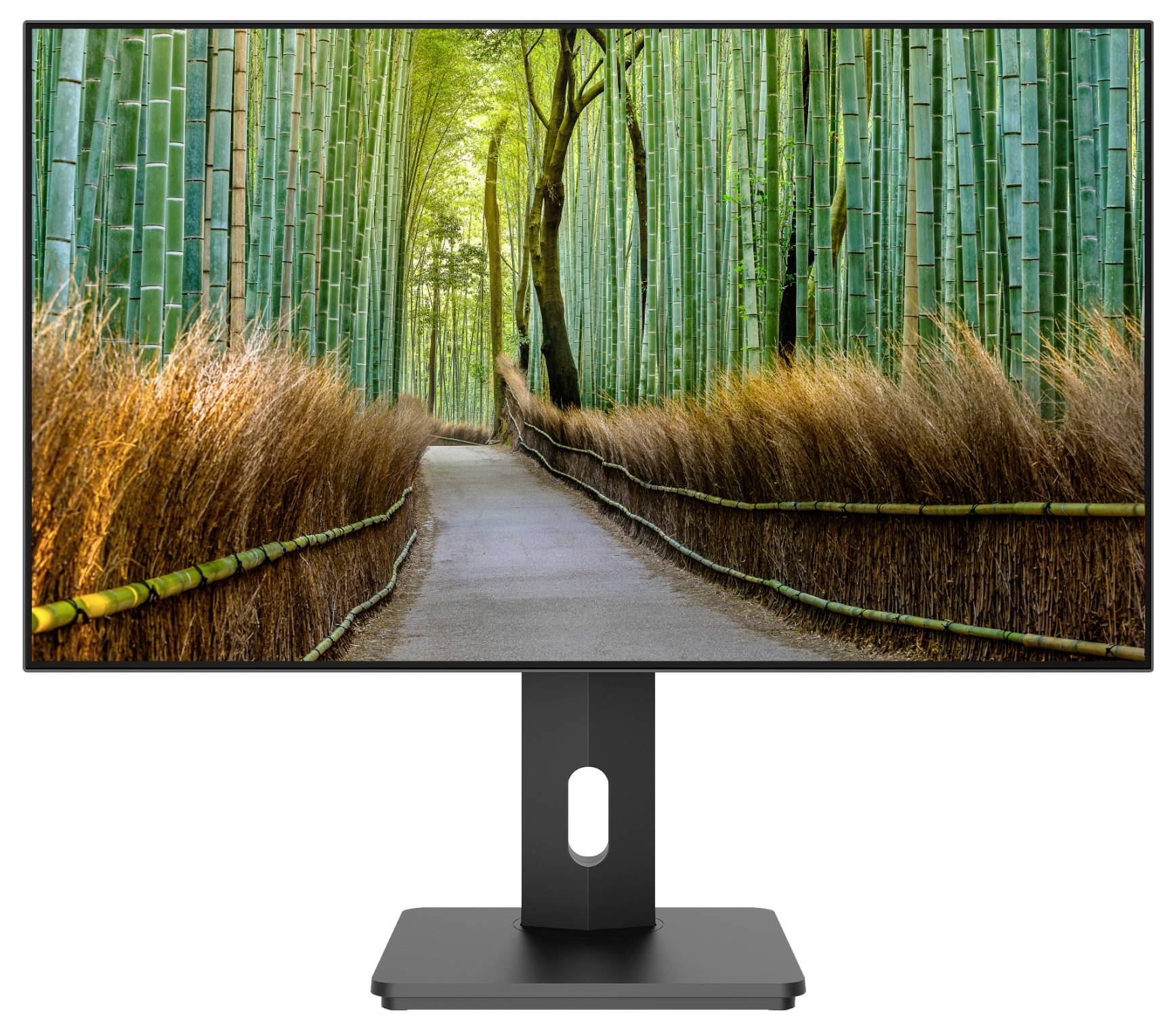 Flat-screen monitor displaying a bamboo forest path, showing the screen content and black stand on a white background.
