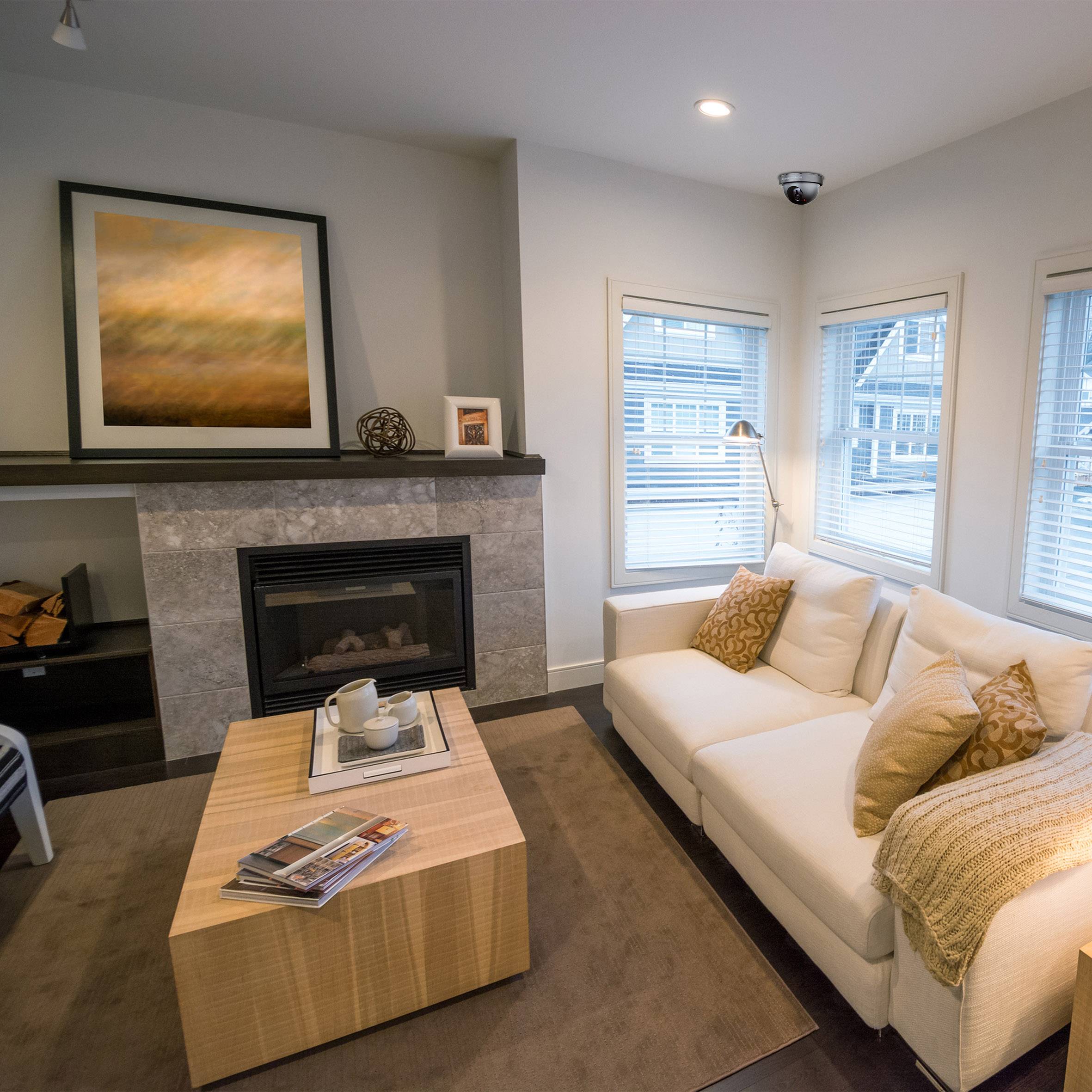 Smartwares SW CS44D Dummy camera with flashing LED-1